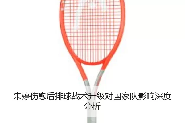 img_1780592336262_849_3_514.jpg