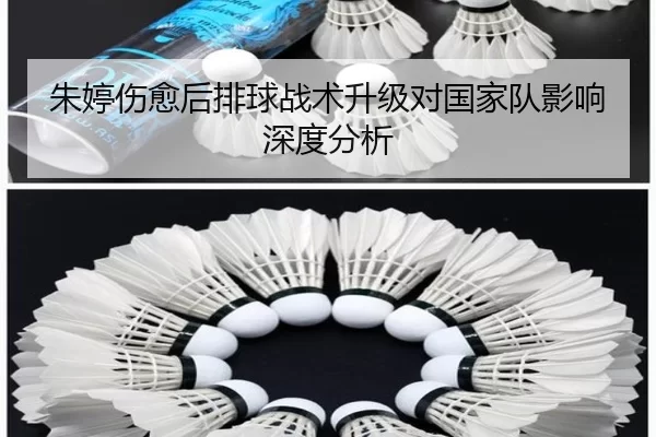 朱婷伤愈后排球战术升级对国家队影响深度分析